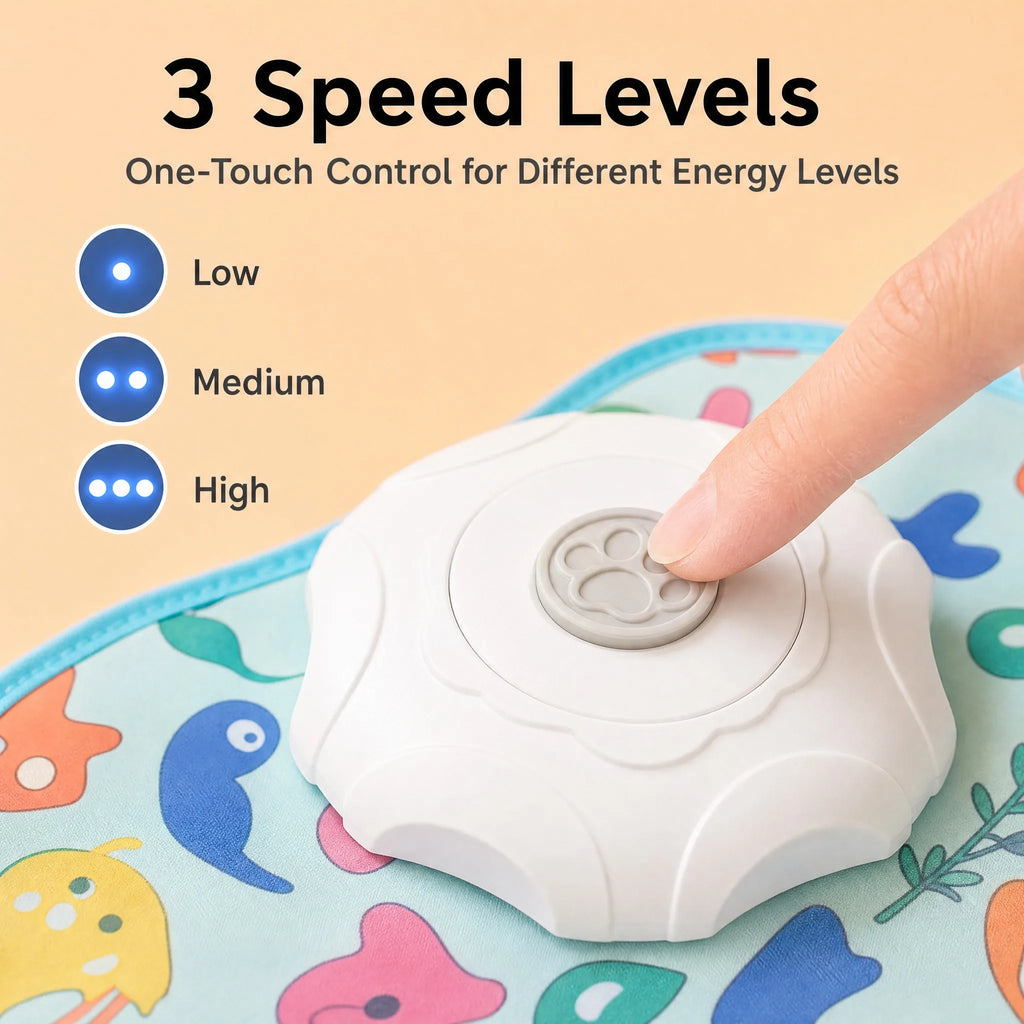 Interactive Hide & Seek Cat Toy – Motion-Activated Mouse & Feather Teaser