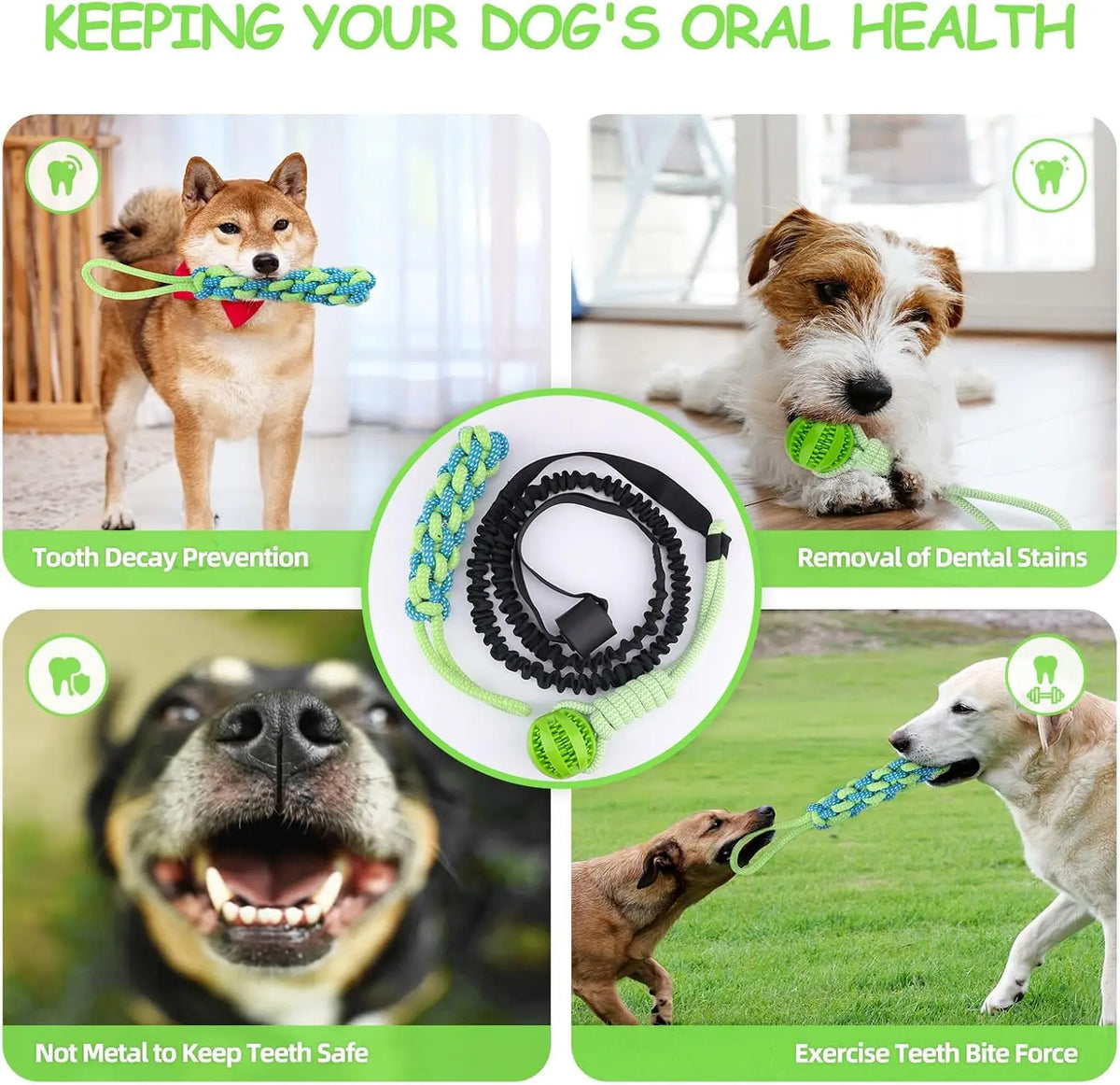 Spring Pole Dog Rope Toy – Interactive Tether Tug of War Toy