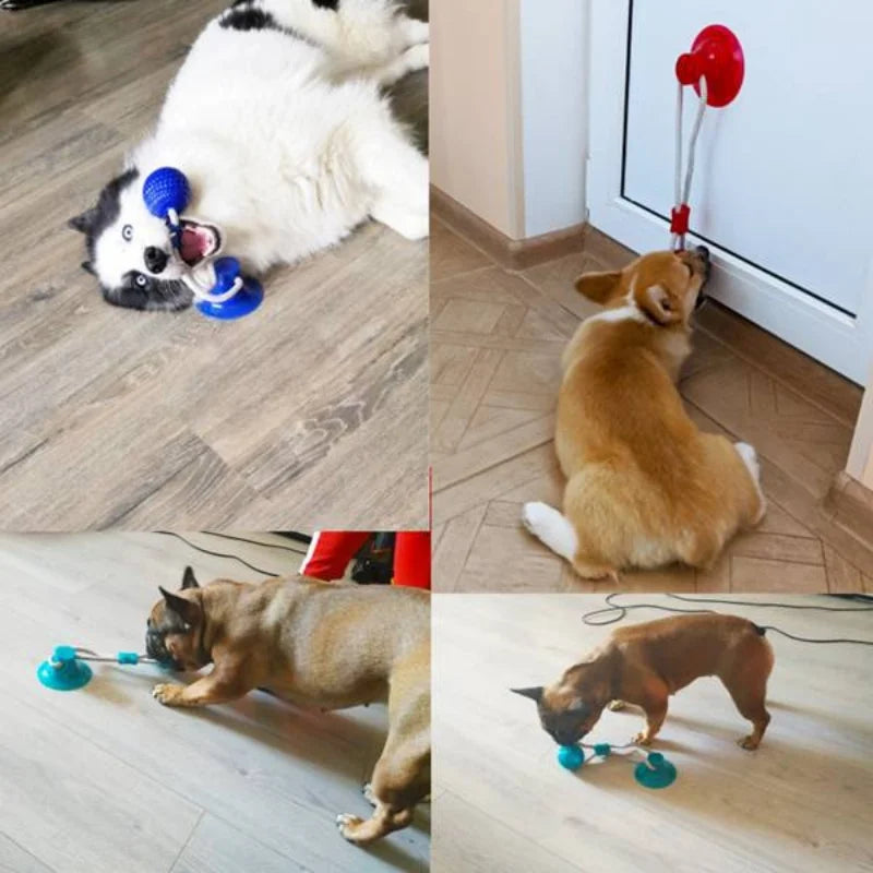 Suction Cup Dog Tug Toy – Interactive TPR Chew & Dental Ball