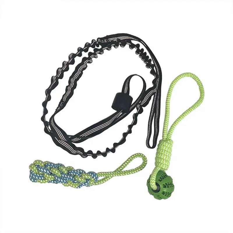 Spring Pole Dog Rope Toy – Interactive Tether Tug of War Toy