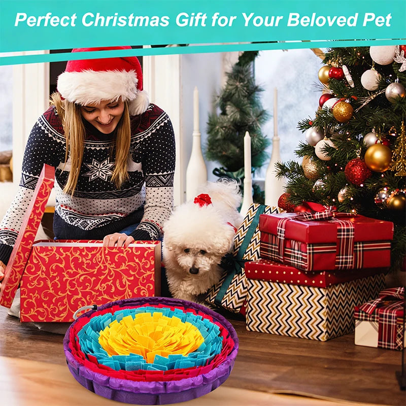 Pet Snuffle Mat – Interactive Slow Feeder & Training Mat for Dogs & Cats