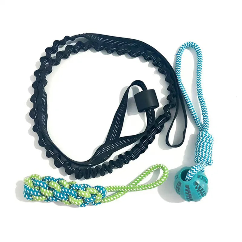 Spring Pole Dog Rope Toy – Interactive Tether Tug of War Toy