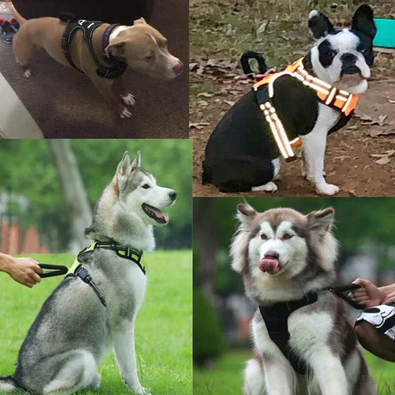 Reflective No-Pull Dog Harness – Padded Control Vest with Handle