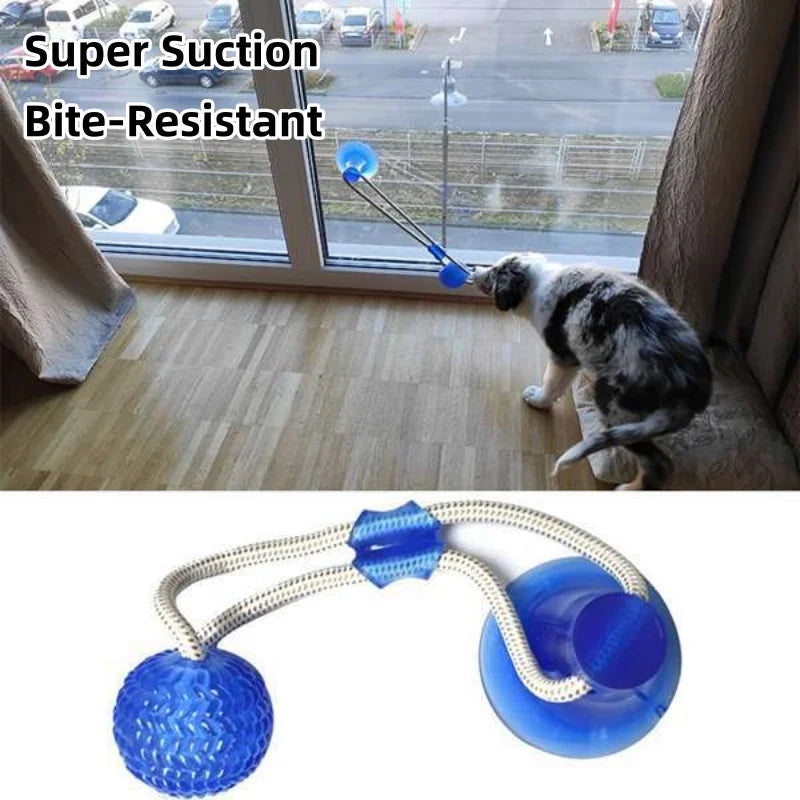 Suction Cup Dog Tug Toy – Interactive TPR Chew & Dental Ball