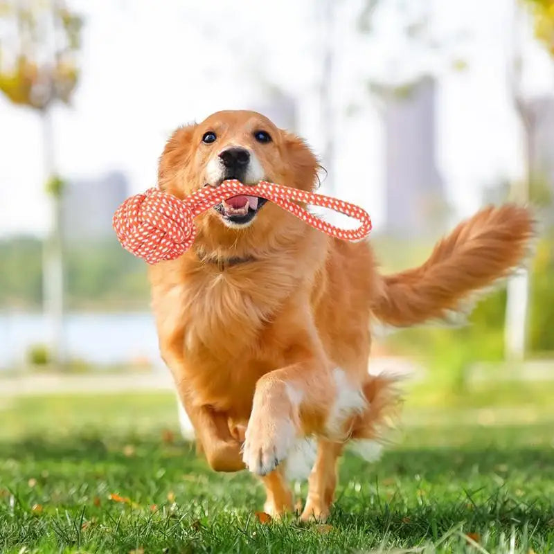 Retractable Dog Flirt Pole – Interactive Teaser Wand for Dogs