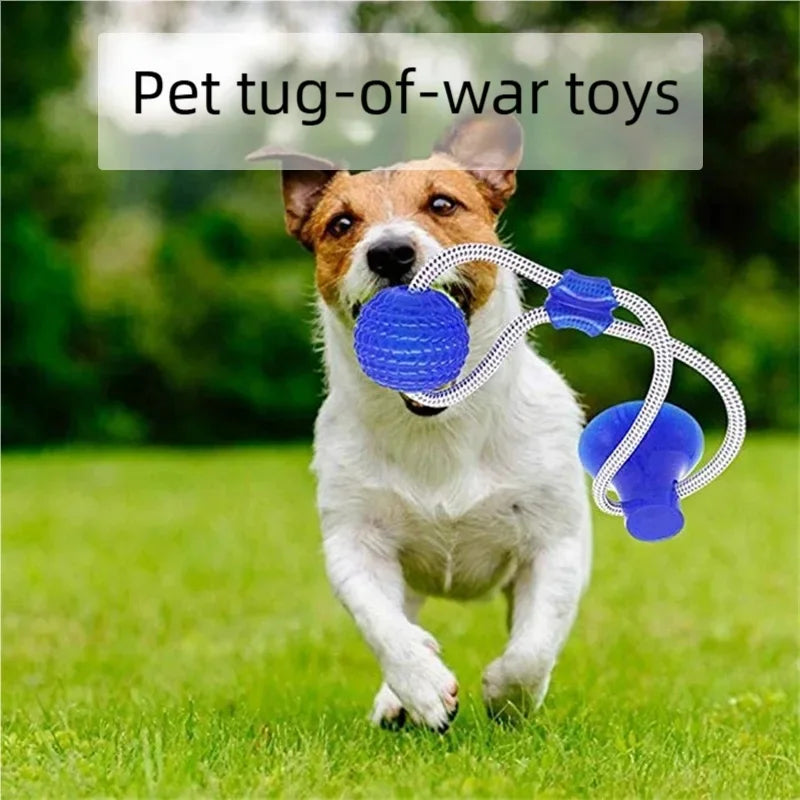 Suction Cup Dog Tug Toy – Interactive TPR Chew & Dental Ball