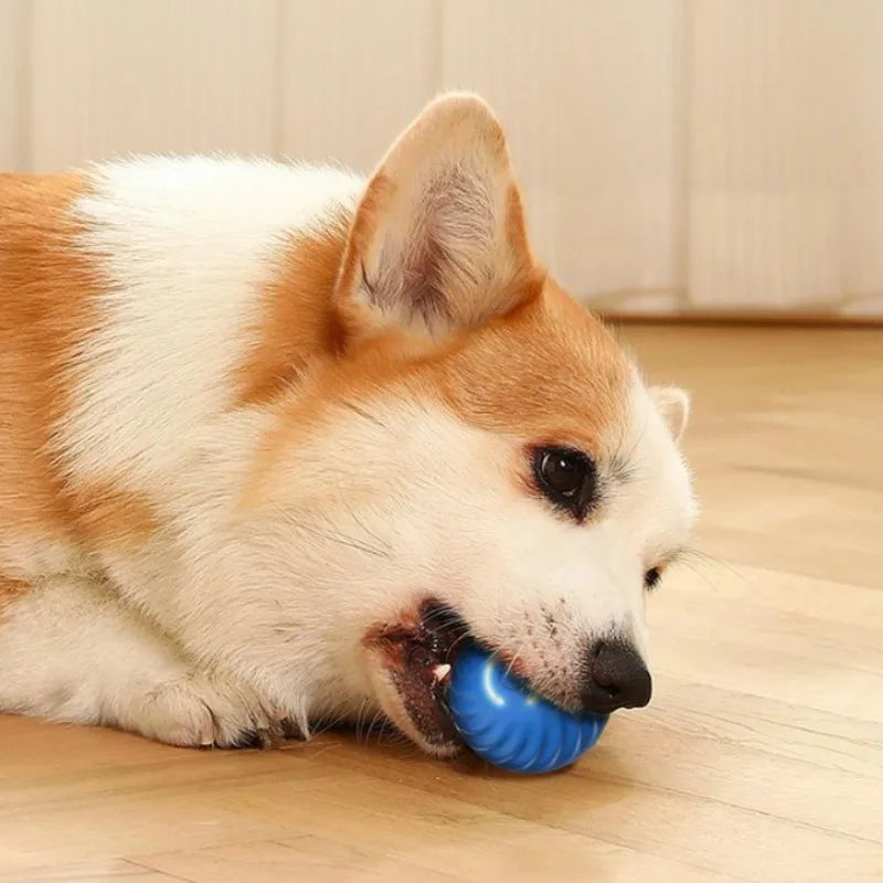 Automatic Interactive Dog Toy Ball – USB Rechargeable Moving & Rolling Toy