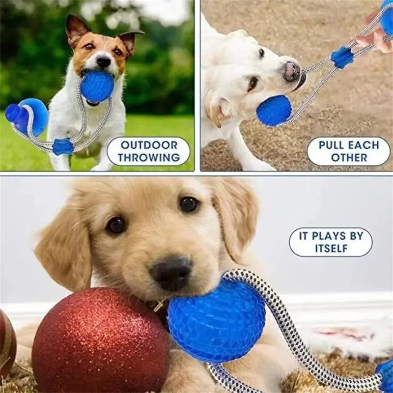 Suction Cup Dog Tug Toy – Interactive TPR Chew & Dental Ball
