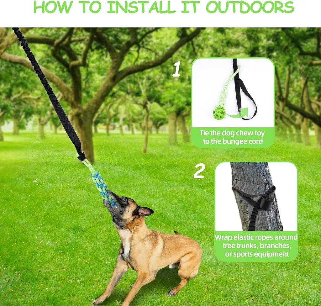 Spring Pole Dog Rope Toy – Interactive Tether Tug of War Toy
