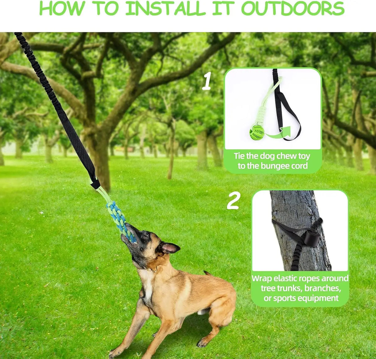 Spring Pole Dog Rope Toy – Interactive Tether Tug of War Toy