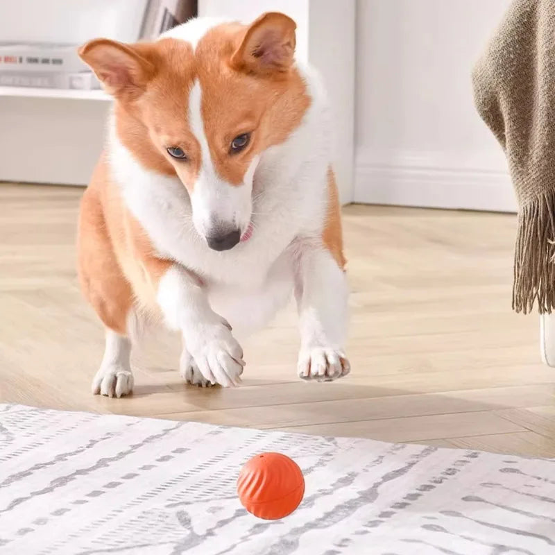 Automatic Interactive Dog Toy Ball – USB Rechargeable Moving & Rolling Toy