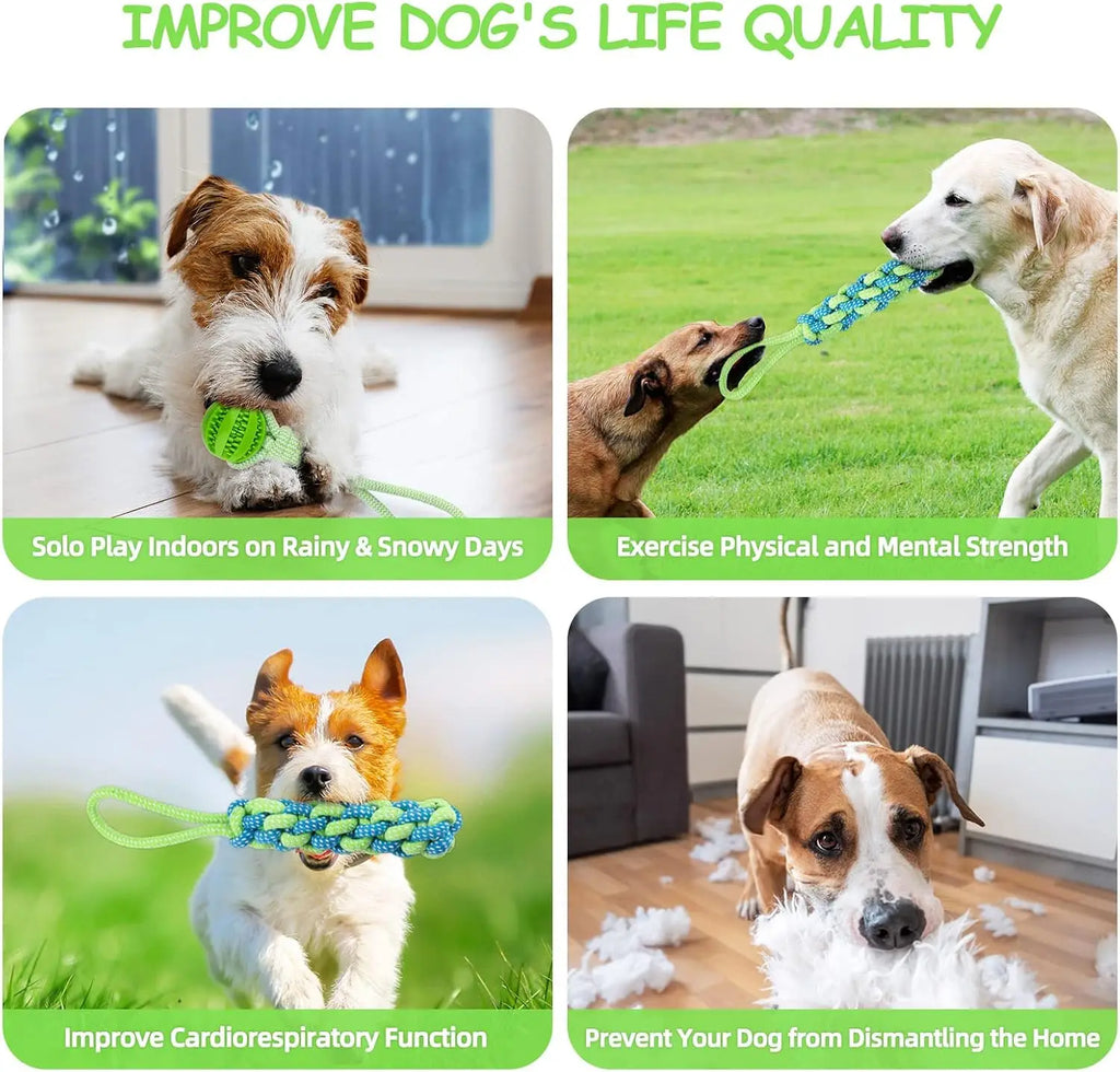 Spring Pole Dog Rope Toy – Interactive Tether Tug of War Toy