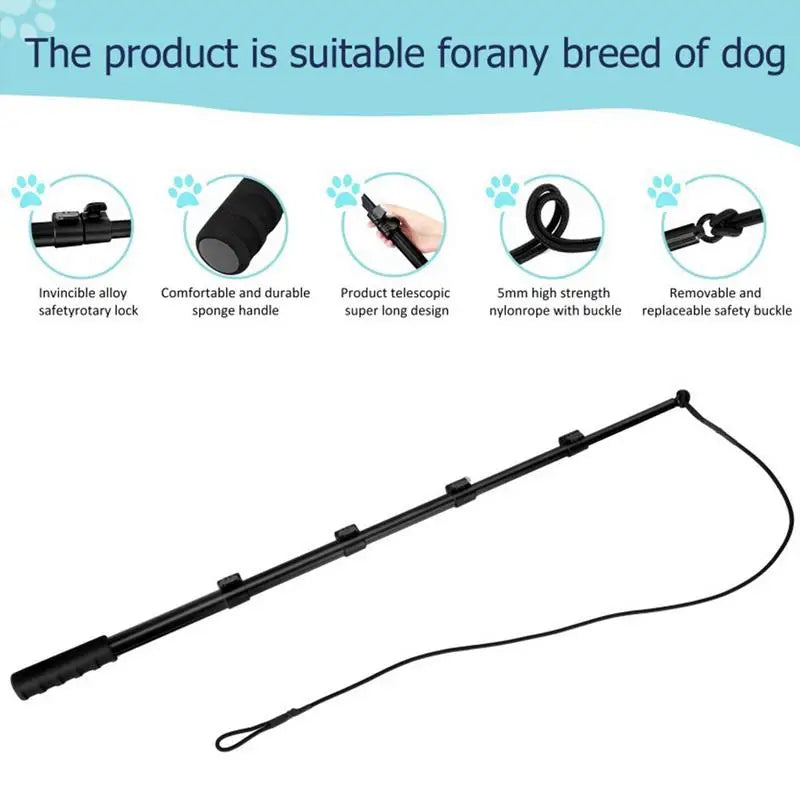 Retractable Dog Flirt Pole – Interactive Teaser Wand for Dogs