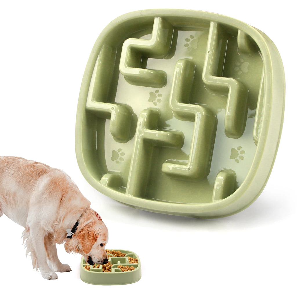 Slow Feeder Dog Bowl – Non-Slip Anti-Gulping Bowl for Dogs & Puppies