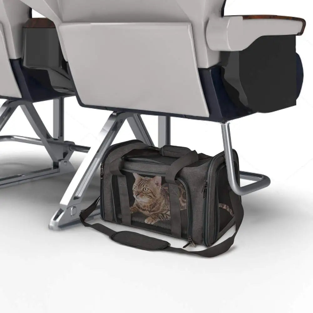 Soft-Sided Pet Carrier Backpack – Airline-Approved Travel Bag for Small Dogs & Cats