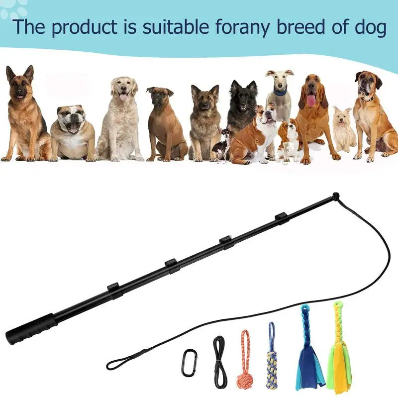 Retractable Dog Flirt Pole – Interactive Teaser Wand for Dogs