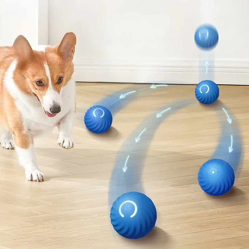 Automatic Interactive Dog Toy Ball – USB Rechargeable Moving & Rolling Toy
