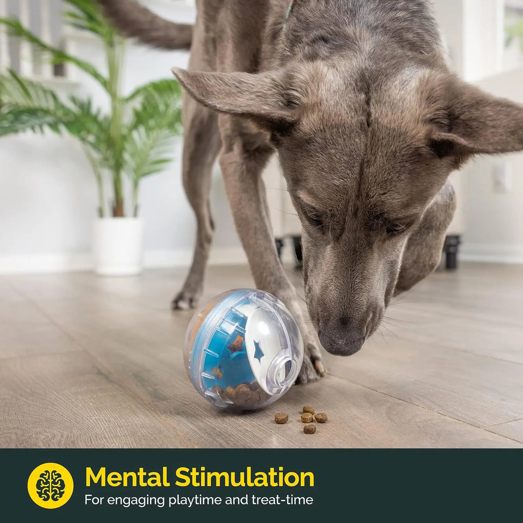IQ Treat Ball – Interactive Dog Treat Dispenser & Slow Feeder