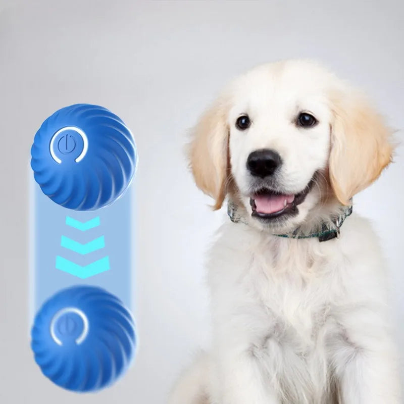 Automatic Interactive Dog Toy Ball – USB Rechargeable Moving & Rolling Toy