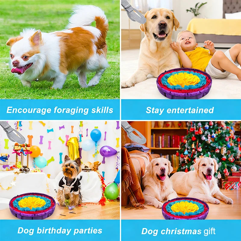 Pet Snuffle Mat – Interactive Slow Feeder & Training Mat for Dogs & Cats