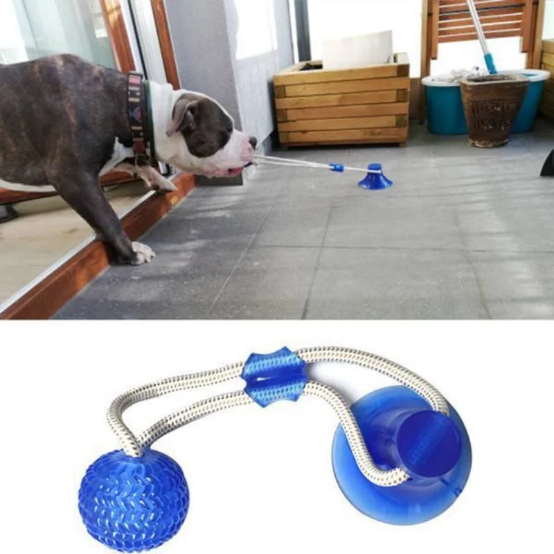 Suction Cup Dog Tug Toy – Interactive TPR Chew & Dental Ball